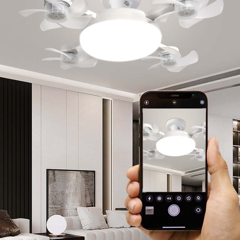 BreezeGlow™ Smart Ceiling Fan Light
